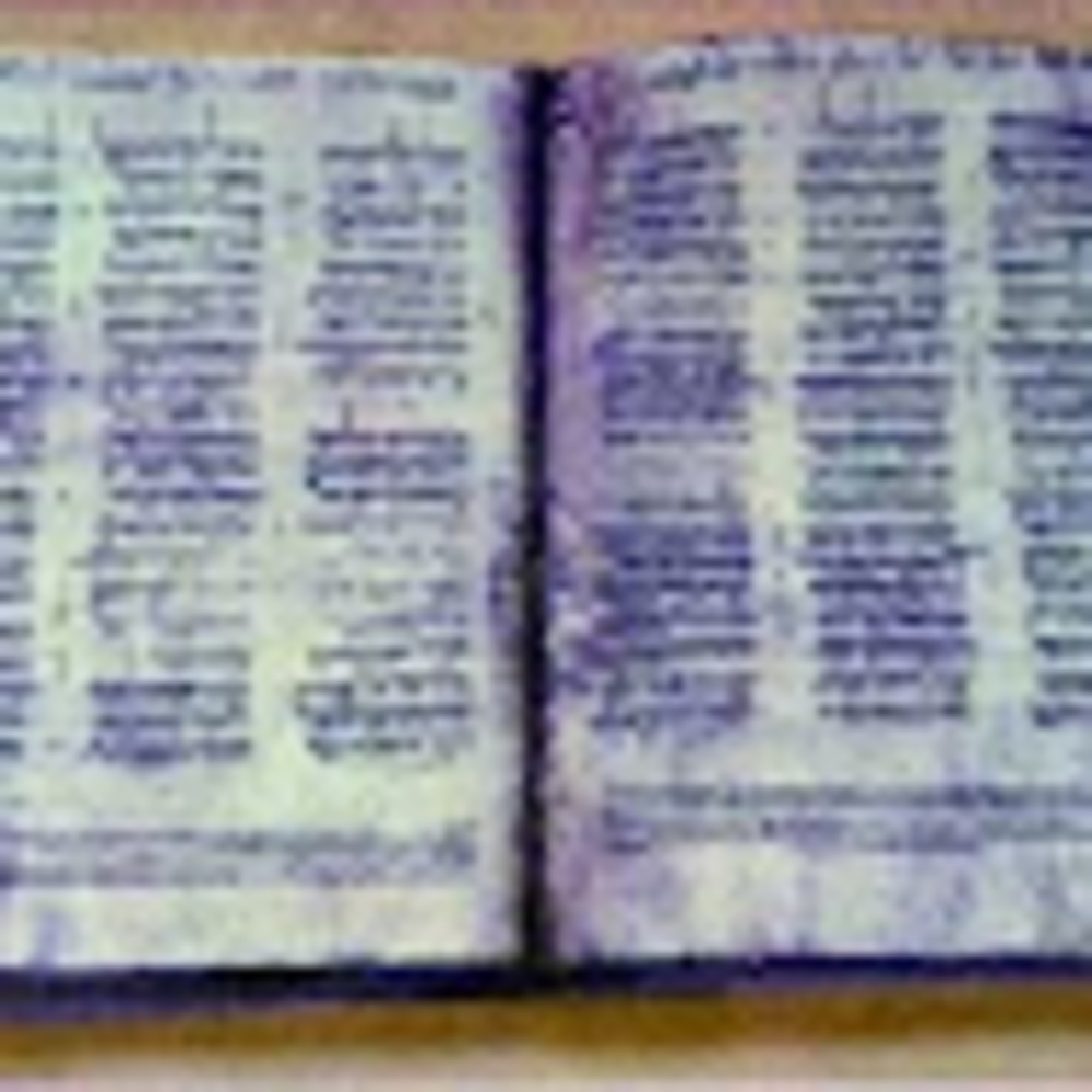 Meet your Posher, Joao